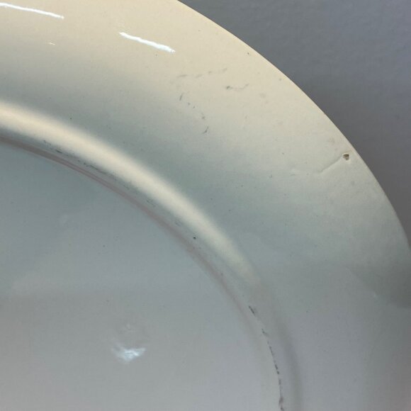 Vintage Stetson Marcrest Dinnerware Misty Pine Cone Dinner Plate 9.5" MCM Retro - Picture 10 of 12